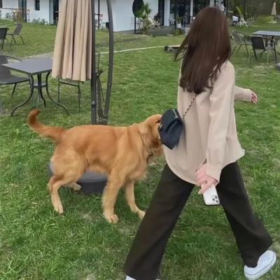 约翰·木兰尼和午餐小伙伴